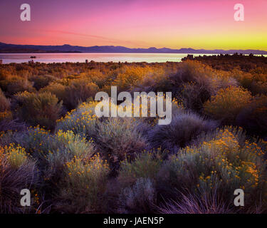 Mono Lake Kalifornien Stockfoto