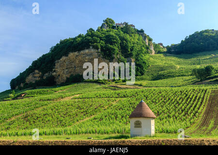 Frankreich, Jura, Chateau Chalon, beschriftet Plus beaux villages de France (Schönste Dörfer Frankreichs), Weinberg AOC Appellation d'Origine Controlee Stockfoto