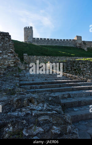 Mauern und Turm von Kalemegdan Festung am Sommermorgen in Belgrad, Serbien Stockfoto