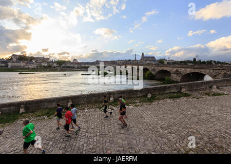 Frankreich, Maine et Loire, Blois, Loire, Jacques Gabriel Brücke und runneurs Stockfoto
