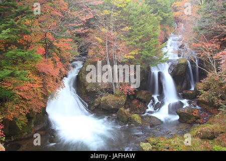 Ryuzu Wasserfall des Herbstes in Nikko, Tochigi, Japan Stockfoto