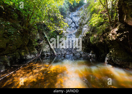 Dschungel-trekking zum Kai Bae Wasserfall auf tropischen Koh Chang Insel in Thailand. Buschlandschaft im Sommer. Stockfoto