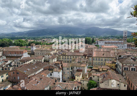 Die Stadt Lucca, gesehen vom Torre Guinigi Stockfoto