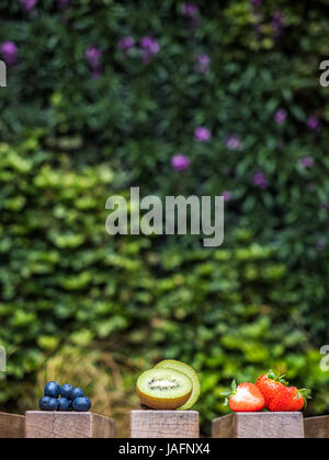 Auswahl an gesunde Früchte wie Erdbeeren, Heidelbeeren und Kiwi vor einer Wand von lebenden Pflanzen Stockfoto