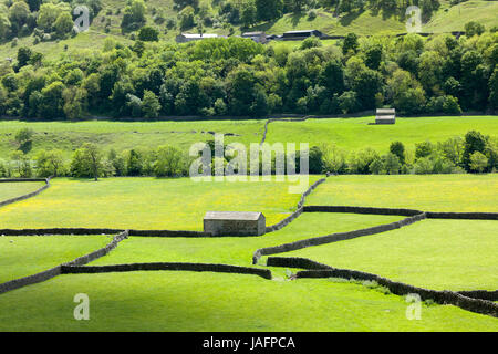 Wildblumenwiesen, Scheunen und Trockenmauern am Gunnerside im Swaledale, The Yorkshire Dales, UK. Stockfoto