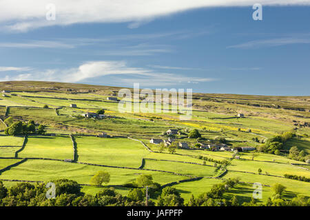 Alkohol ein remote Landwirtschaft Weiler Arkengarthdale, The Yorkshire Dales National Park, UK Stockfoto