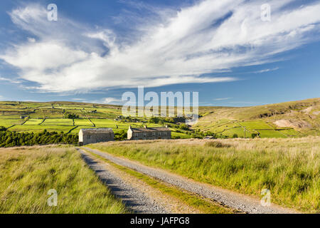 Gelbe Häuser und der Weiler Schnaps in Arkengarthdale The Yorkshire Dales UK Stockfoto