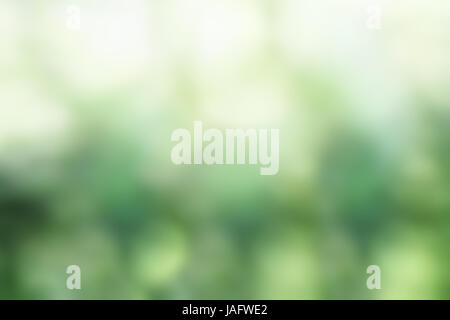 Zusammenfassung Hintergrund verschwommen grüne Bokeh Textur. Stockfoto