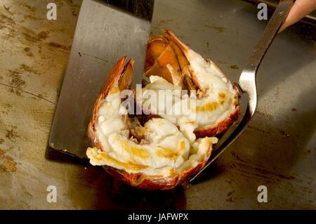 Schnell gebratene japanische Meeresfrüchte. Stockfoto