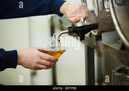 Mannes Zeichnung schäumenden bernsteinfarbene Flüssigkeit, Bier aus einem Metall Fass in einer Brauerei zum testen. Stockfoto