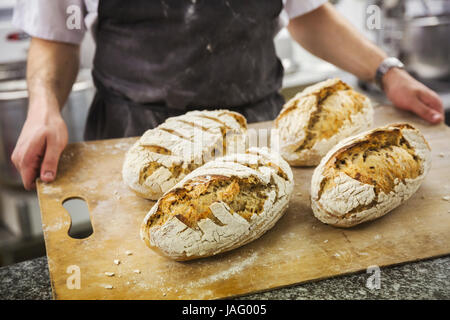Baker Holding Tablett mit frisch gebackenen Brote. Stockfoto