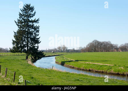 Deutschland, Nordrhein-Westfalen, Kreis Wesel, Hamminkeln-Loikum, Fluss Issel Stockfoto