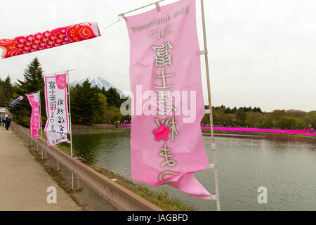 Blumenschau Fuji Shiba-Sakura Festival, Japan. Stockfoto