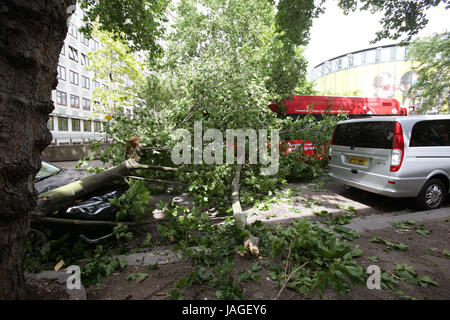 Äste eines Baumes auf ein Auto und Bus in Waterloo, London, nach starken Regenfällen. Stockfoto