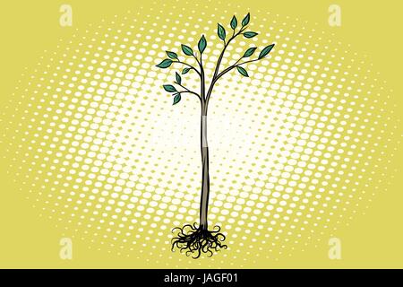 Baum Sämling mit grünen Blättern. Natur-Ökologie. Pop-Art-Retro-Vektor-illustration Stock Vektor