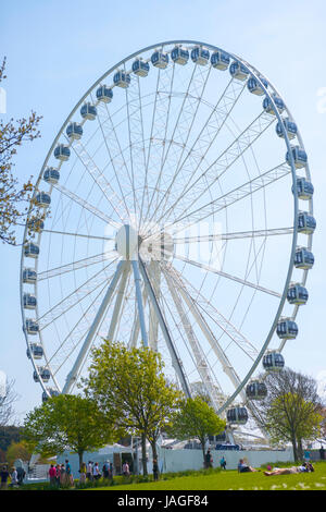 Das Riesenrad von Plymouth, eine 60-Meter-Riesenrad auf der Hacke, Plymouth, Devon, England, UK Stockfoto