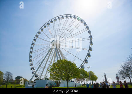 Das Riesenrad von Plymouth, eine 60-Meter-Riesenrad auf der Hacke, Plymouth, Devon, England, UK Stockfoto