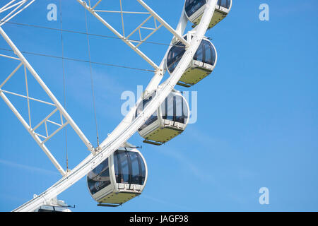 Das Riesenrad von Plymouth, eine 60-Meter-Riesenrad auf der Hacke, Plymouth, Devon, England, UK Stockfoto