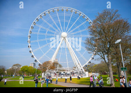 Das Riesenrad von Plymouth, eine 60-Meter-Riesenrad auf der Hacke, Plymouth, Devon, England, UK Stockfoto