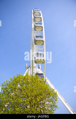 Das Riesenrad von Plymouth, eine 60-Meter-Riesenrad auf der Hacke, Plymouth, Devon, England, UK Stockfoto
