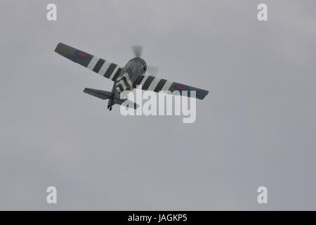 Grumman F4F Wildcat Stockfoto