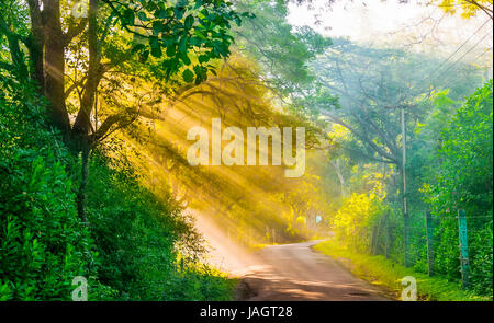 Schöne Aussicht von goldenen Sonnenstrahlen umgeben von den bunten dichten Wäldern von Masunagudi, Tamil Nadu, Indien Stockfoto