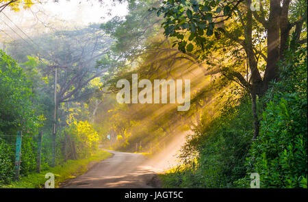 Schöne Aussicht von goldenen Sonnenstrahlen umgeben von den bunten dichten Wäldern von Masunagudi, Tamil Nadu, Indien Stockfoto