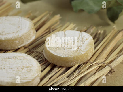 Französischer Käse, Rocamadour, Ziegenmilch, Stockfoto