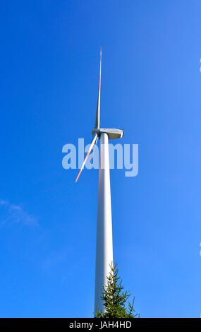 Schwarzwald Bei Kniebis, Windkraftanlage, Windgenerator, Windrad Für Stromerzeugung, Windenergieanlage, Stockfoto