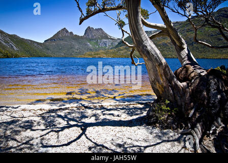 Australien, Tasmanien, Rundweg, Dove Lake, Cradle Mountain National Park, am See, Stockfoto