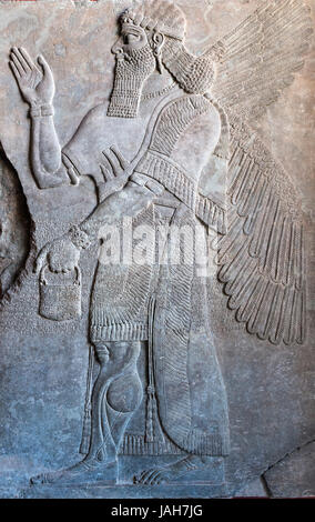 Assyrische Reliefs von König Ashurnasirpal II. (883-859 v. Chr.), Pergamon Museum, Berlin, Deutschland Stockfoto