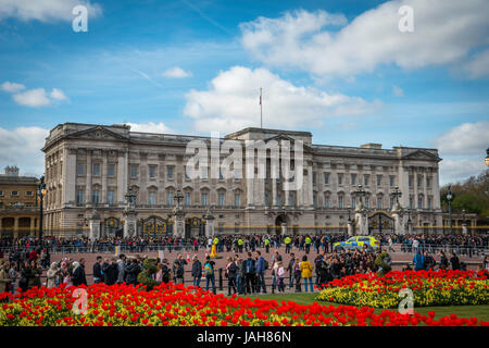 Touristen vor Buckingham Palace, Westminster, London, England, Vereinigtes Königreich Stockfoto