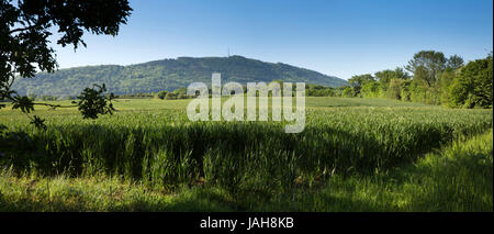 Großbritannien, England, Shropshire, Wrockwardine, The Wrekin aus Ackerland, Panorama Stockfoto