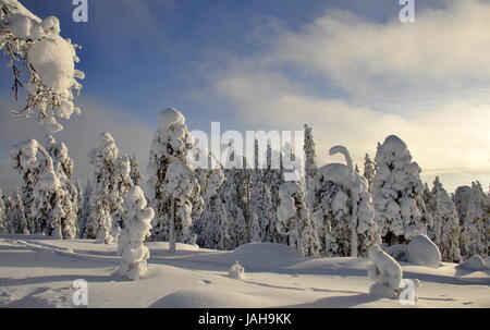 Winter in Finnland Stockfoto