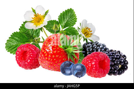 Erdbeere, Himbeere, Brombeere, Heidelbeere, Heidelbeeren isoliert auf weißem Hintergrund Stockfoto