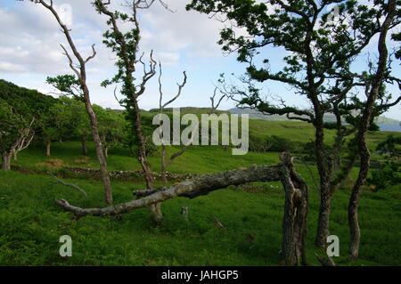 Loch Tuath, Torloisk, Isle of Mull, Schottland Stockfoto