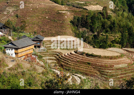 Alten, wunderschönen Reisterrassen von Longsheng in der Nähe von Guilin, Guanxi Provinz, China Stockfoto