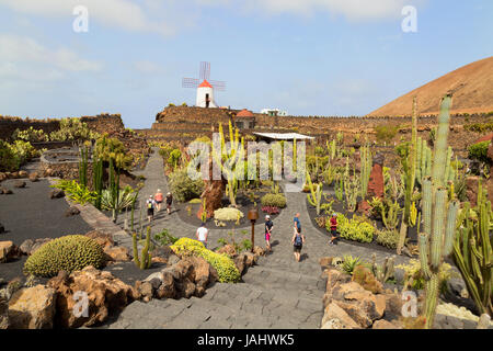 Kakteengarten von Lanzarote oder Jardin de Cactus, entworfen von dem lokalen Künstler Cesar Manrique, Lanzarote, Kanarische Inseln, Europa Stockfoto