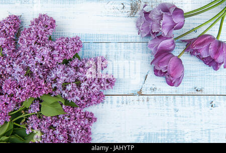 Der Zweig der lila Blüten mit einem Bouquet von violette Tulpen auf einem hölzernen Hintergrund. Stockfoto