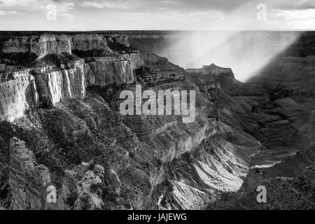 Nationalpark Grand Canyon North Rim, Arizona Stockfoto