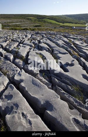 Irland, County Clare, Burren, Karstland, Stockfoto