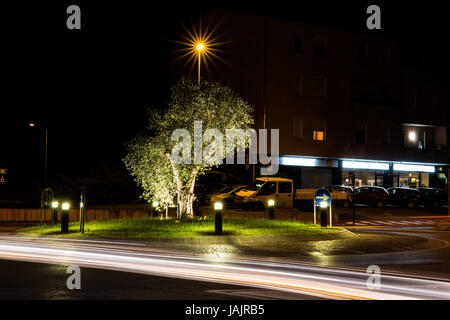 Kreisverkehr in der Nacht mit beleuchteten schöner Baum in der Mitte Stockfoto