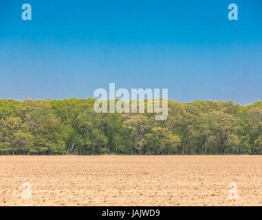 frisch gepflügtes Feld mit Bäumen im Hintergrund in Eastern Long Island Stockfoto