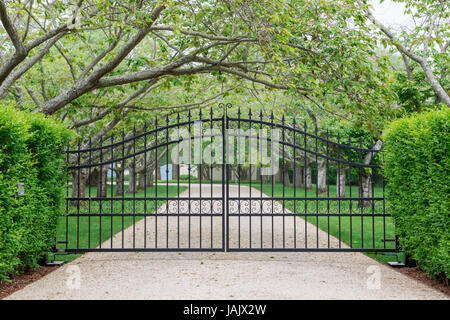 Gated Fahrt in den Hamptons Stockfoto