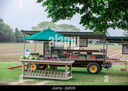 ein Bauernhof Stand in Wainscott, New York Stockfoto
