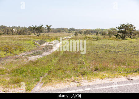 alten verlassenen Eisenbahn Spuren im östlichen Long Island, ny Stockfoto