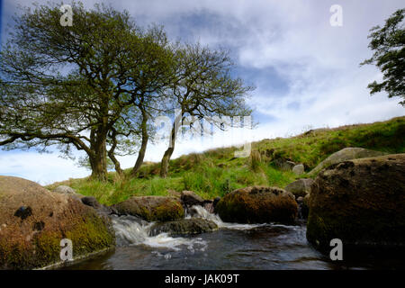 Burbage Brook über Padley Schlucht, Peak District, UK Stockfoto