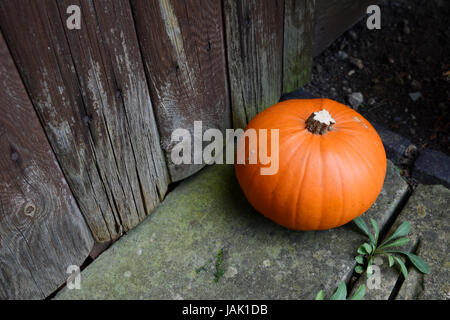 Reifen Kürbis auf einem Stein Schritt für eine verwitterte Holztür Stockfoto