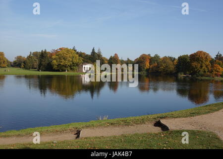 Wörlitzer Park Im Herbst / Wörlitzer park im Herbst Stockfoto