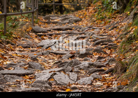 Wanderweg Harzer Hexen-Stieg Hier Im Bodetal Stockfoto